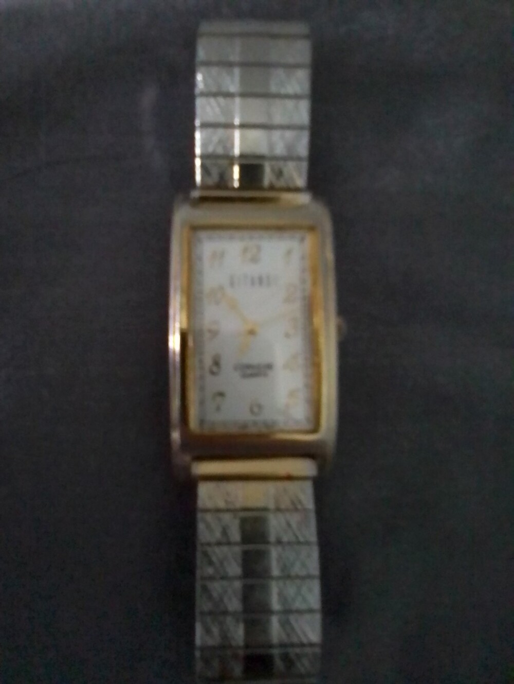 Vintage Gitano Convexe Quartz Japan Movt Gold and Silver Tone W A Speidel Band - Picture 2 of 7